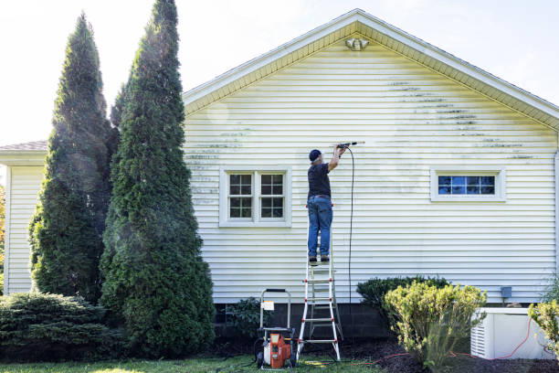 Best Graffiti Removal Services in Leon Valley, TX